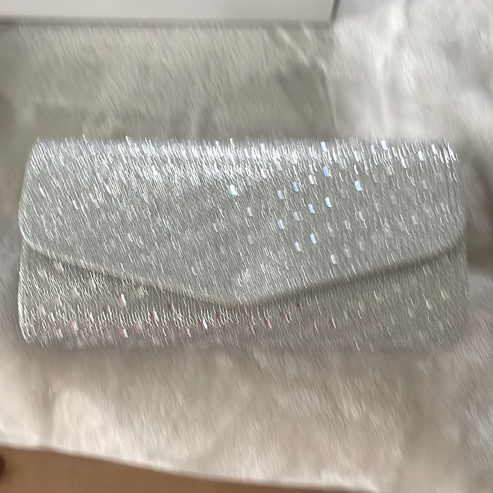 Silver Purse